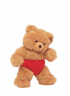 Memo Block Teddy Gymnast - Peony Press