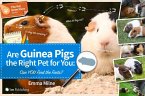 Are Guinea Pigs the Right Pet for You