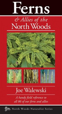 Ferns & Allies of the North Woods - Walewski, Joe