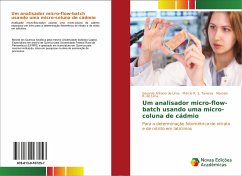 Um analisador micro-flow-batch usando uma micro-coluna de cádmio - Antonio de Lima, Eduardo;R. S. Tavares, Márcio;B. de Lima, Marcelo