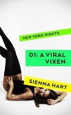 A Viral Vixen (New York Nights, #1) (eBook, ePUB)