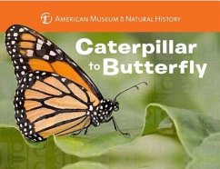 Caterpillar to Butterfly - American Museum Of Natural History; Stewart, Melissa