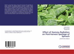 Effect of Gamma Radiation on Post-harvest Spoilage of Spinach