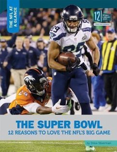 The Super Bowl: 12 Reasons to Love the Nfl's Big Game - Silverman, Drew
