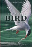 Icelandic Bird Guide: Appearance, Way of Life, Habitat