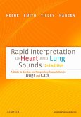 Rapid Interpretation of Heart and Lung Sounds (eBook, ePUB)