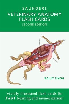 Cover Veterinary Anatomy Flash Cards (eBook, ePUB)