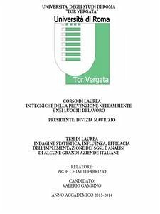 Indagine statistica, Influenza, Efficacia dell'implementazione dei SGSL e analisi di alcune grandi aziende italiane (eBook, ePUB) - Gambino, Valerio