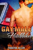 Gay Male Hitchhiker (eBook, ePUB) Gay Male Hitchhiker (eBook, ePUB)