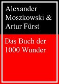 Das Buch der 1000 Wunder (eBook, ePUB)