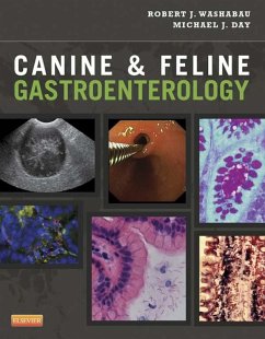 Canine and Feline Gastroenterology (eBook, ePUB) - Washabau, Robert J.; Day, Michael J.