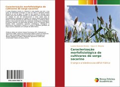 Caracterização morfofisiológica de cultivares de sorgo sacarino