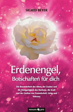 Cover Erdenengel, Botschaften für dich (eBook, PDF)