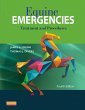 Equine Emergencies E-Book (eBook, ePUB) - Bild 1
