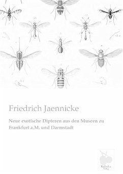 Neue exotische Dipteren aus den Museen zu Frankfurt a.M. und Darmstadt - Jaennicke, Friedrich