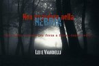 Non guardare nella nebbia (eBook, ePUB)