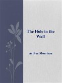 The Hole in the Wall (eBook, ePUB)