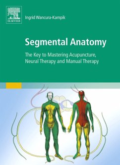 Segmental Anatomy (eBook, ePUB) - Wancura-Kampik, Ingrid