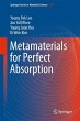 Metamaterials for Perfect Absorption - Bild 1