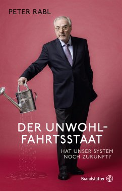 Der Unwohlfahrtsstaat (eBook, ePUB) - Rabl, Peter