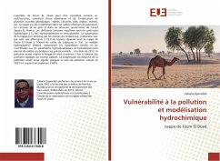 Vulnérabilité à la pollution et modélisation hydrochimique - Zgourdah, Zakaria