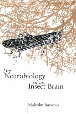 NEUROBIOL INSECT BRAIN C - Burrows