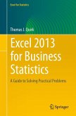 Excel 2013 for Business Statistics (eBook, PDF)