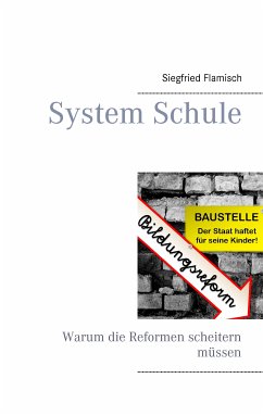 System Schule (eBook, ePUB)