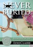 Never Buried (Leigh Koslow Mystery Series, #1) (eBook, ePUB)