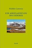Ein Angelausflug ins Gebirge (eBook, ePUB)