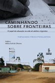 Caminhando sobre fronteiras (eBook, ePUB) Caminhando sobre fronteiras (eBook, ePUB)