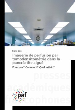 Imagerie de perfusion par tomodensitométrie dans la pancréatite aiguë - Bize, Pierre
