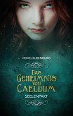 Das Geheimnis von Caeldum