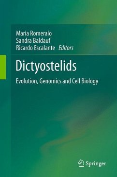 Dictyostelids