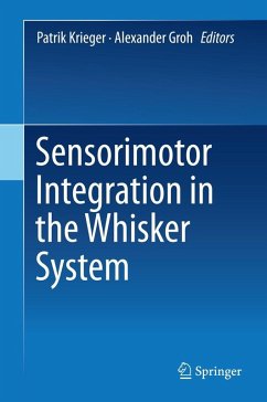 Sensorimotor Integration in the Whisker System (eBook, PDF)