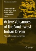 Active Volcanoes of the Southwest Indian Ocean (eBook, PDF)