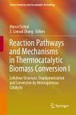 Reaction Pathways and Mechanisms in Thermocatalytic Biomass Conversion I (eBook, PDF)