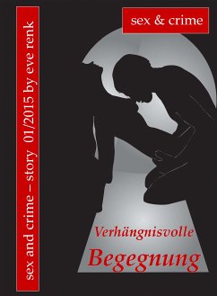 Verhängnisvolle Begegnung (eBook, ePUB) - Renk, Eve