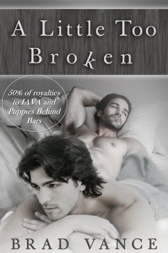 Cover A Little Too Broken (eBook, ePUB)