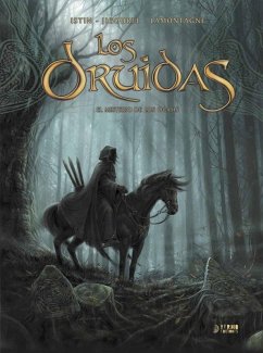 Cover LOS DRUIDAS: EL MISTERIO DE LOS OGAMS