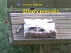 Diario precario (eBook, ePUB)