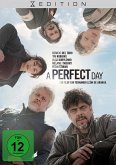 A Perfect Day X-Edition