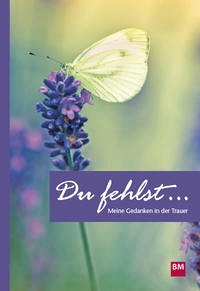 Du fehlst ... - Meier, Jürg