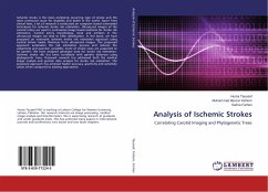 Analysis of Ischemic Strokes