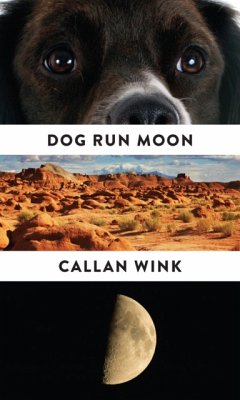 Dog Run Moon - Wink, Callan