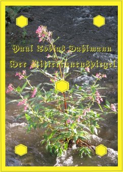 Der Ritterinnenspiegel (eBook, ePUB) - Dahlmann, Paul Tobias
