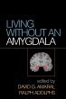 Living Without an Amygdala - Bild 1
