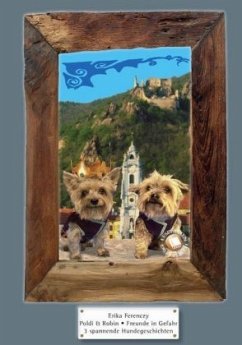 Poldi und Robin: Freunde in Gefahr - Ferenczy, Erika