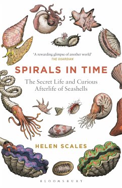 Spirals in Time - Scales, Helen