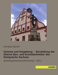 Grimma und Umgebung - Darstellung der älteren Bau- und Kunstdenkmäler des Königreichs Sachsen - Gurlitt, Cornelius